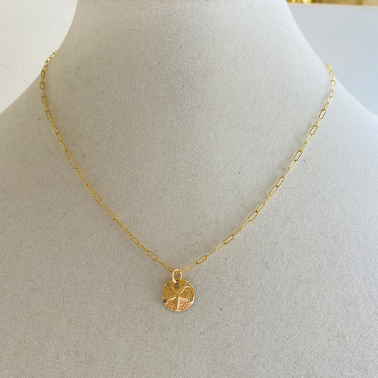 Gold, Coin, Shell, Delicate, Pendant, Sand Dollar, Necklace